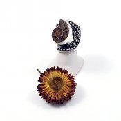 Amazing Silver Ammonite Poison Ring